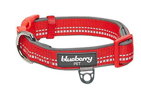 Blueberry Pet Soft & Comfy 3M Red Reflective Padded Dog Collar
