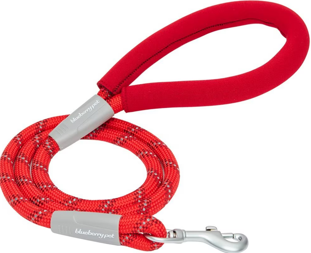 Blueberry Pet Durable Diagonal Striped Rope Leash in Red with Comfy Neoprene Handle
