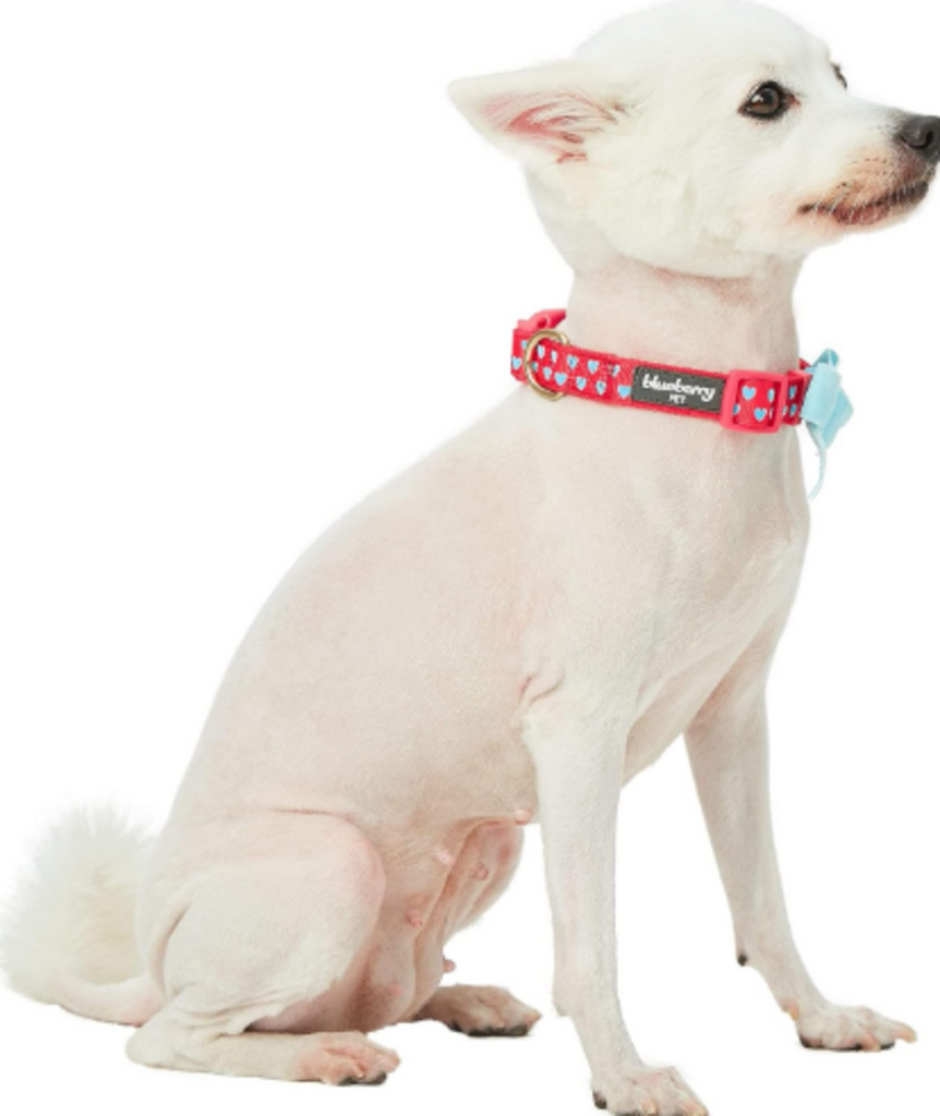 Blueberry Pet Velvety Heart Flocking Dog Leash in Lust Red