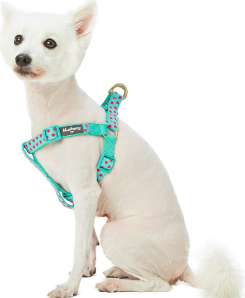 Blueberry Pet Heart Flocking Minty Green Dog Collar with Detachable Velvety Bowtie