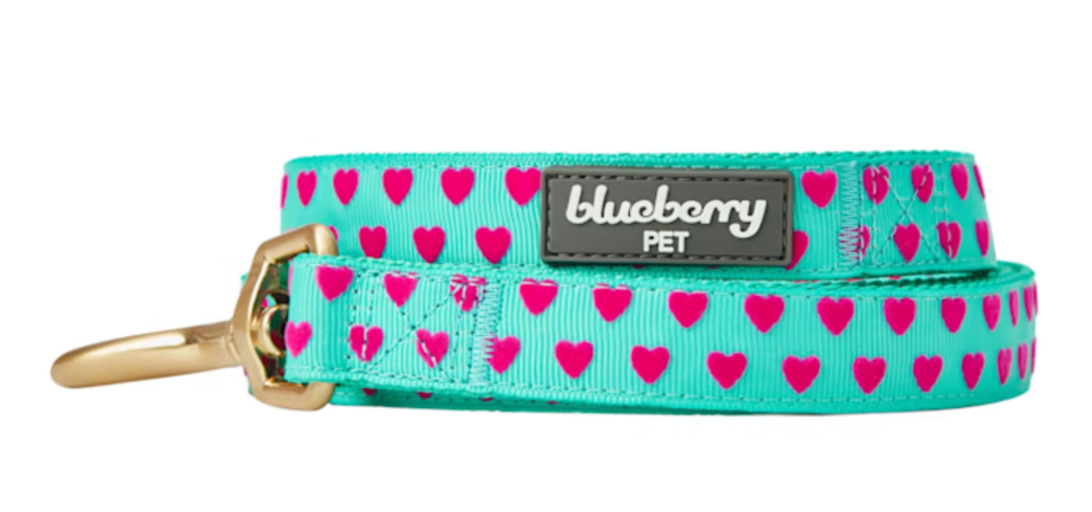 Blueberry Pet Velvety Heart Flocking Minty Green Dog Leash