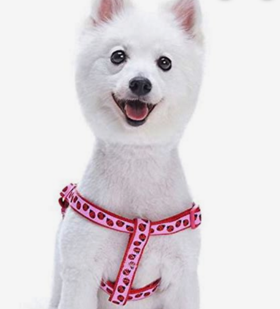 Blueberry Pet Step-in Ladybug Designer Dog Harness