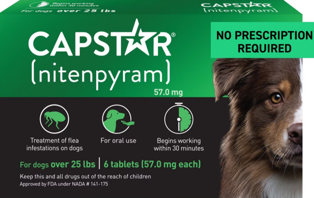 Capstar Flea Treatment for Dogs