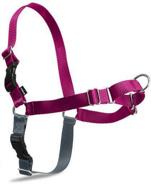 PetSafe Easy Walk Raspberry & Gray Dog Harness