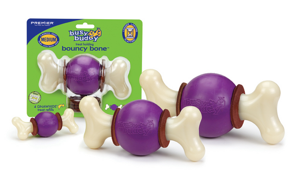 PetSafe Busy Buddy Bouncy Bone Dog Toy