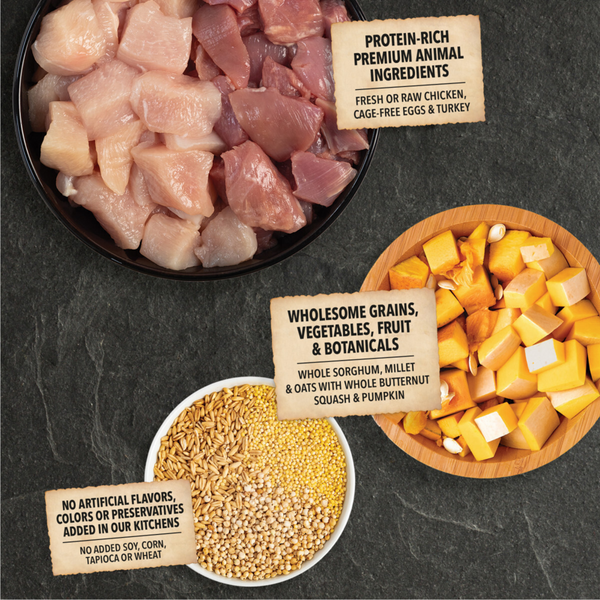 Acana Wholesome Grains Free-Run Poultry & Grains Dry Dog Food