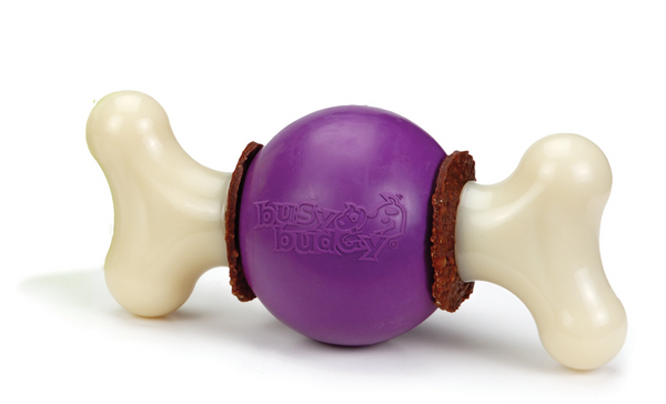 PetSafe Busy Buddy Bouncy Bone Dog Toy