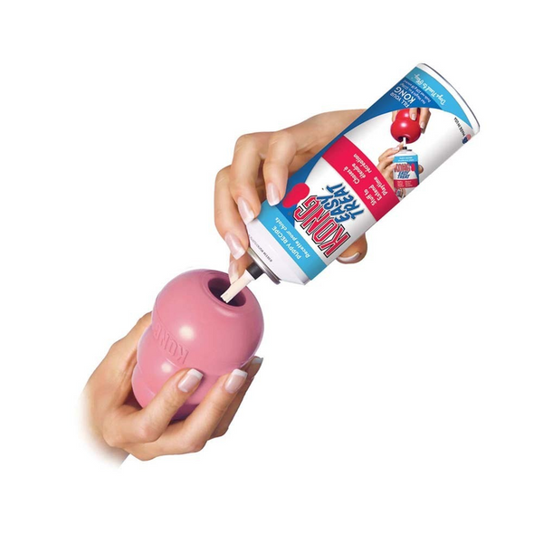 Kong Puppy Easy Treat