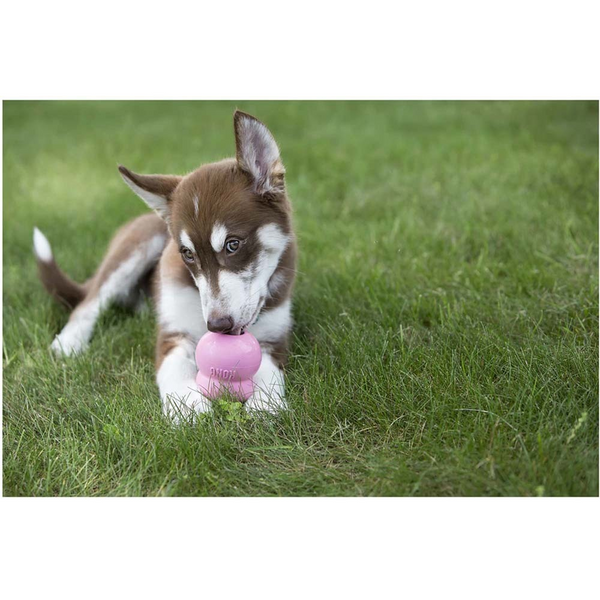 Kong Puppy Easy Treat