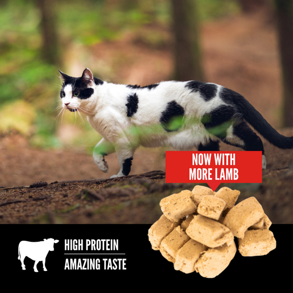 Orijen Freeze Dried Regional Red Cat Treats