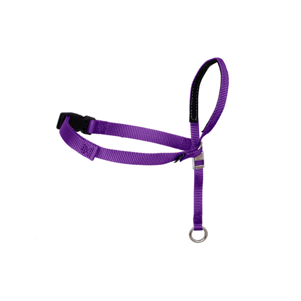 Petsafe Gentle Leader Quick Release Purple Headcollar for Dogs