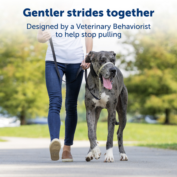 Petsafe Gentle Leader Quick Release Purple Headcollar for Dogs