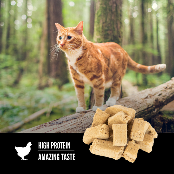 Orijen Freeze Dried Original Cat Treats