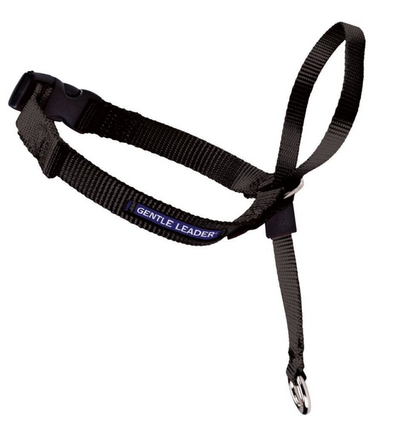Petsafe Gentle Leader Quick Release Black Headcollar for Dogs