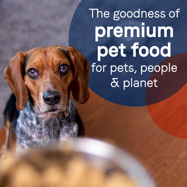 Canidae Pure Wet Dog Food, Lamb, Turkey & Chicken Recipe