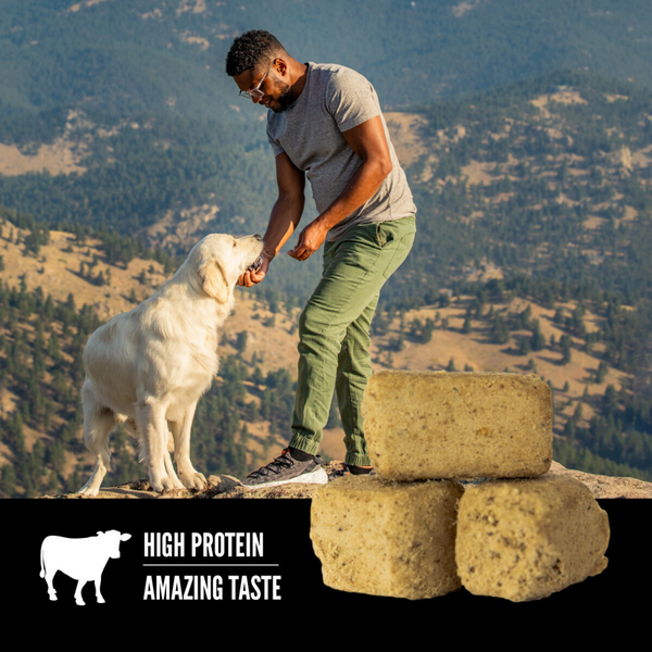 ORIJEN Freeze Dried Ranch Raised Beef Dog Treats