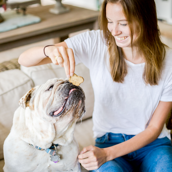 Cloud Star Wag More Bark Less Oven Baked Grain Free Pumpkin Dog Treats