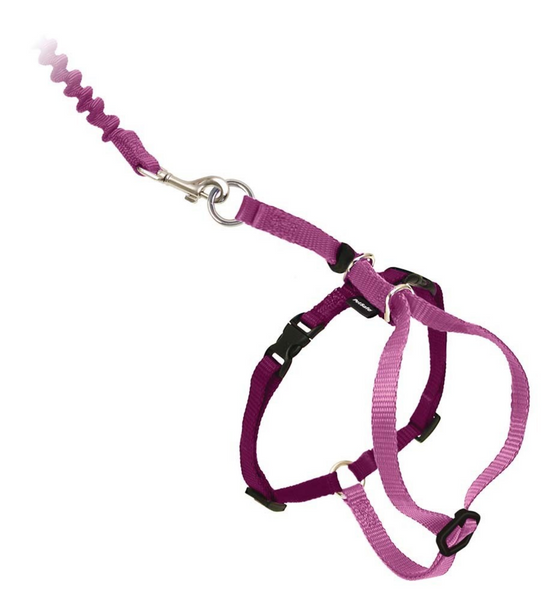 PetSafe Come with Me Kitty Dusty Rose & Burgundy Harness and Bungee Leash for Cats