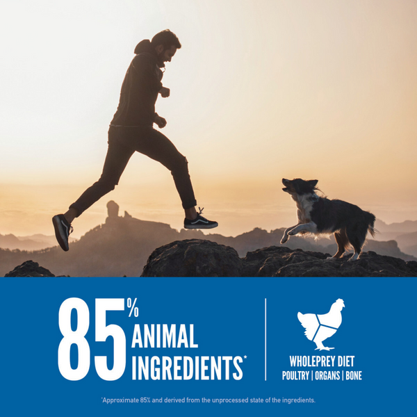 Orijen Original Dry Dog Food