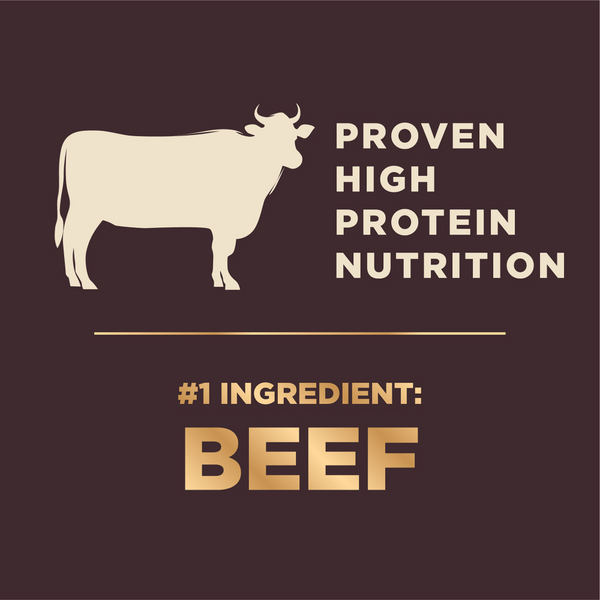 Wellness CORE  Grained Beef & Barley Recipe