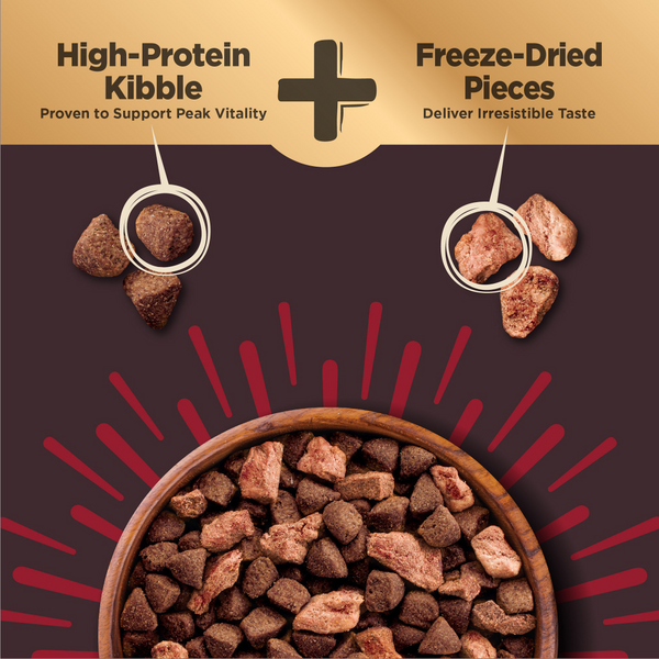 Wellness CORE  Grained Beef & Barley Recipe