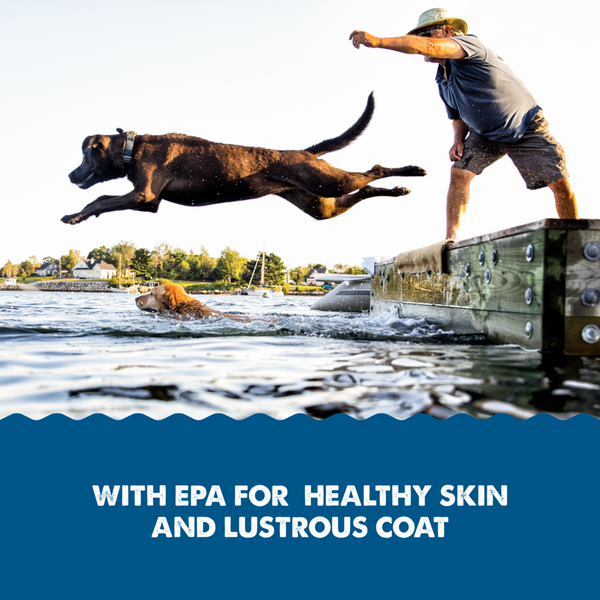 Grizzly Pollock Oil for Dogs