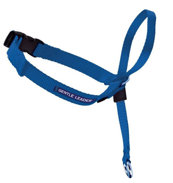 Petsafe Gentle Leader Quick Release Royal Blue Headcollar for Dogs