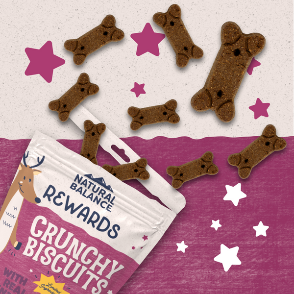 Natural Balance Rewards Crunchy Biscuits Dog Treats for Small Breeds with Real Venison
