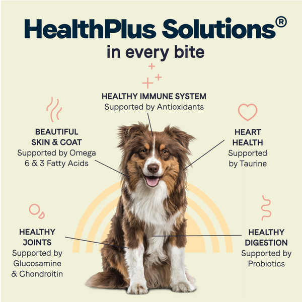 Canidae All Life Stages Dry Dog Food, Real Chicken & Ancient Grains Recipe