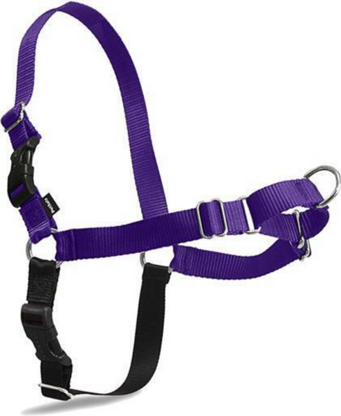 PetSafe Easy Walk Deep Purple & Black Dog Harness