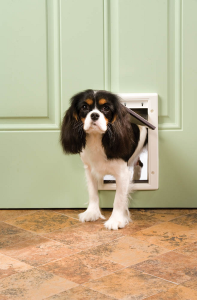 PetSafe Plastic Pet Door