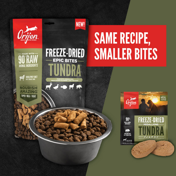 ORIJEN Tundra Epic Bites Freeze-Dried Dry Dog Food