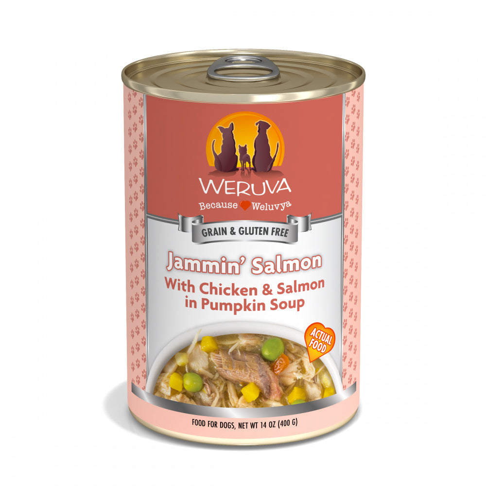 Weruva Jammin Salmon with Chicken Salmon in Pumpkin Soup Canned Dog Food