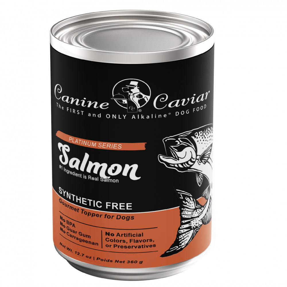 Canine Caviar Grain Free Synthetic Free Salmon Recipe Canned Dog Food